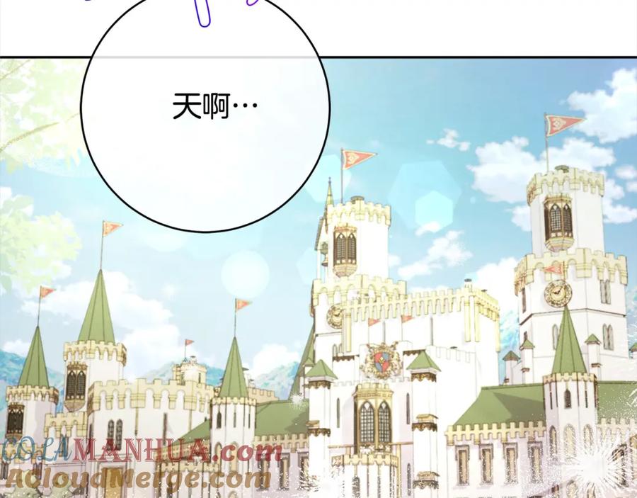 第213页