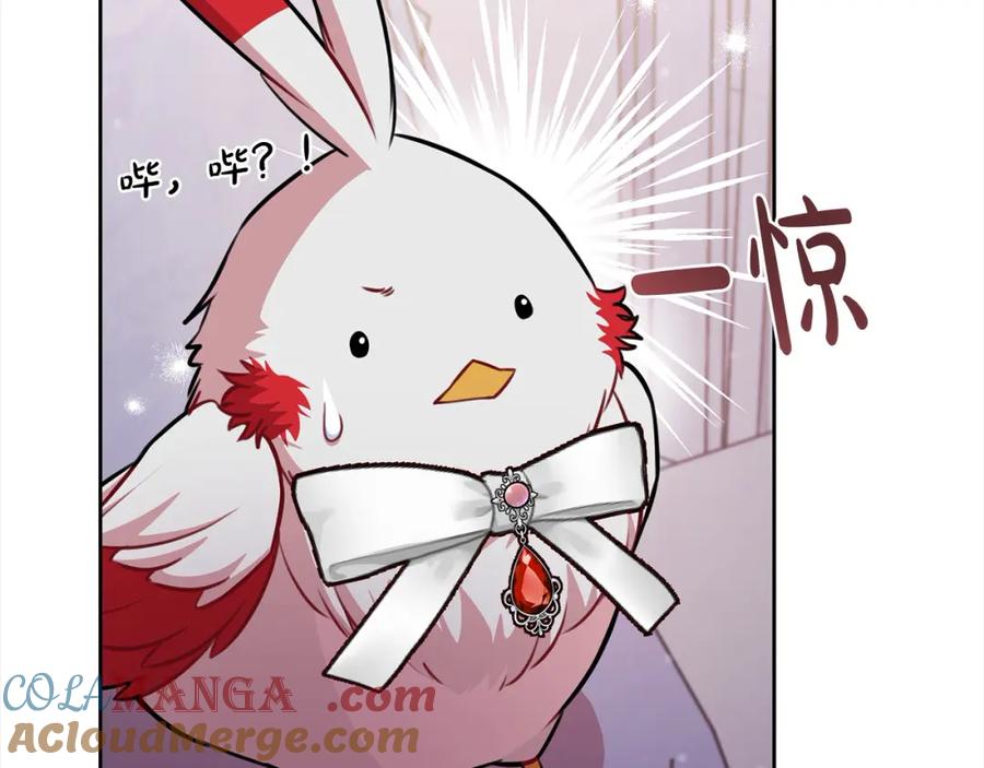 第221页