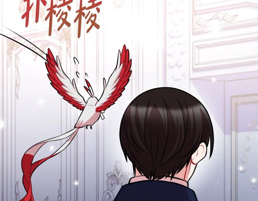 第224页