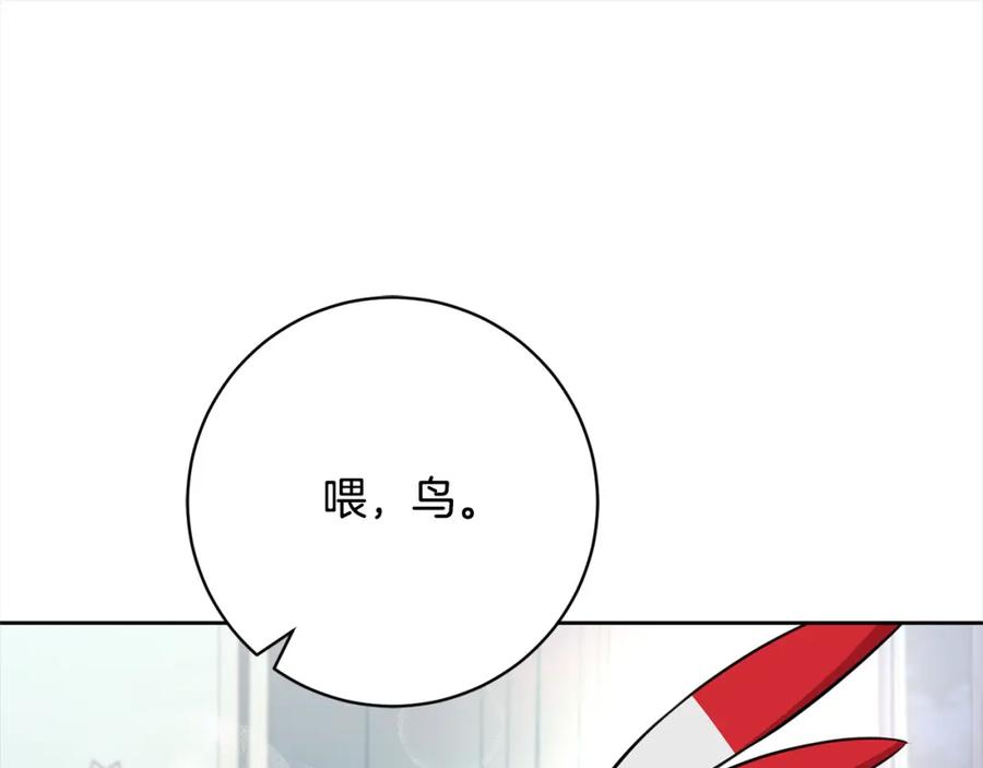 第239页