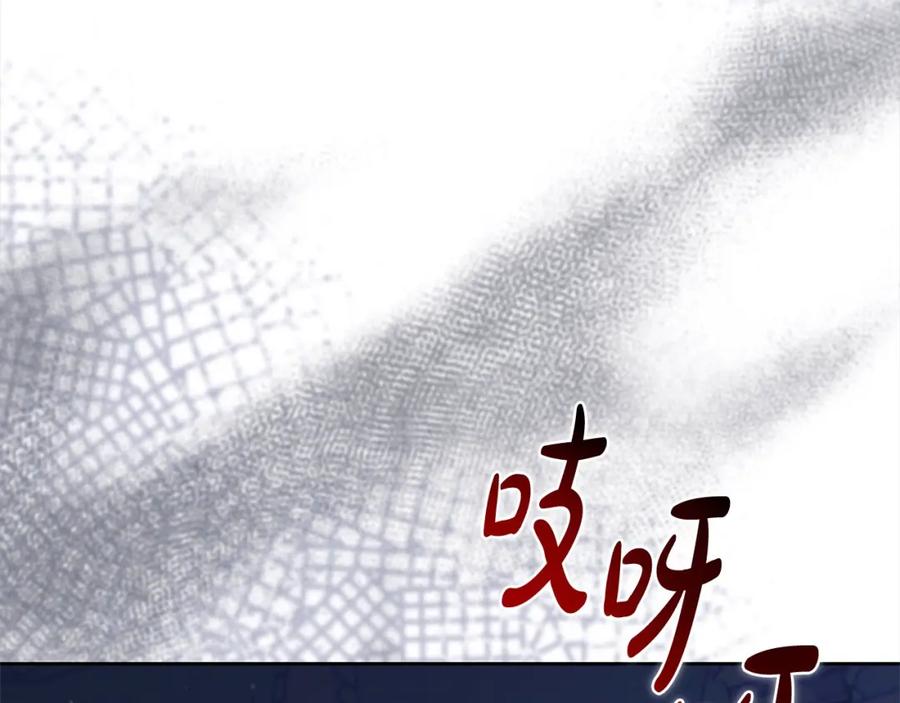 第258页