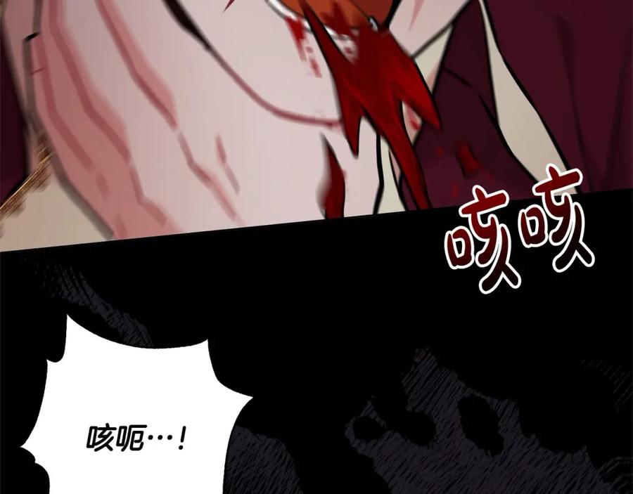 第260页