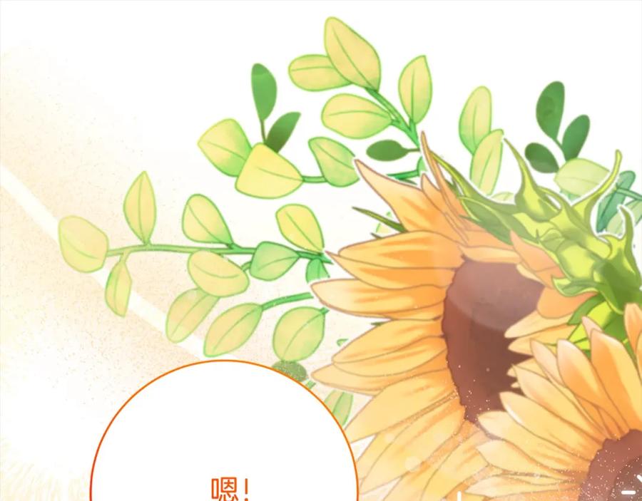 第291页