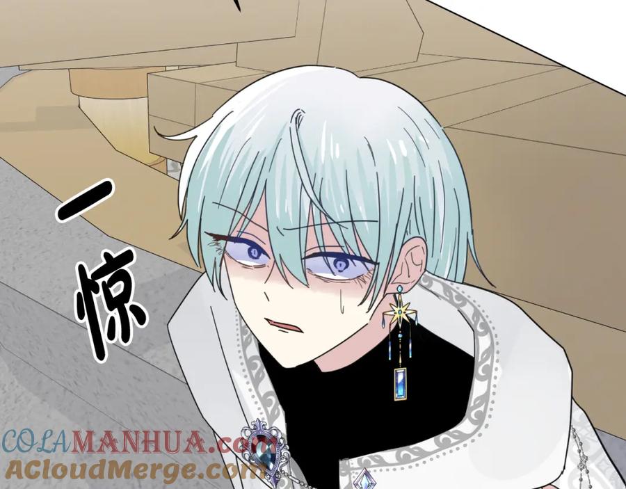第221页