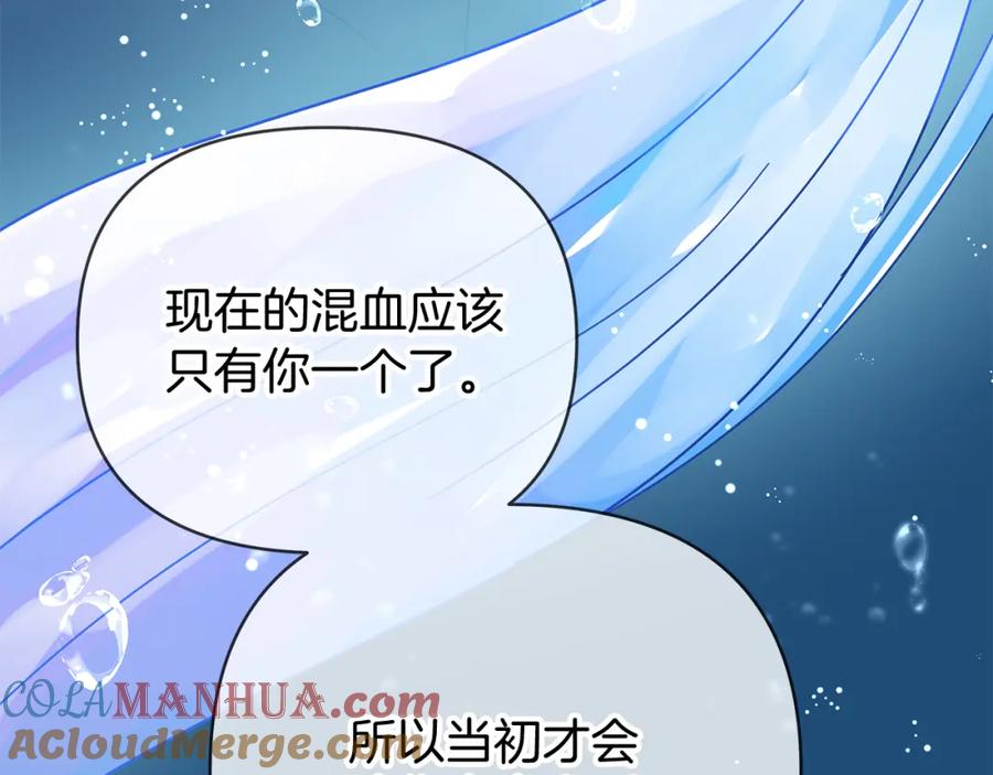 第217页