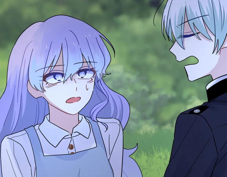 第224页
