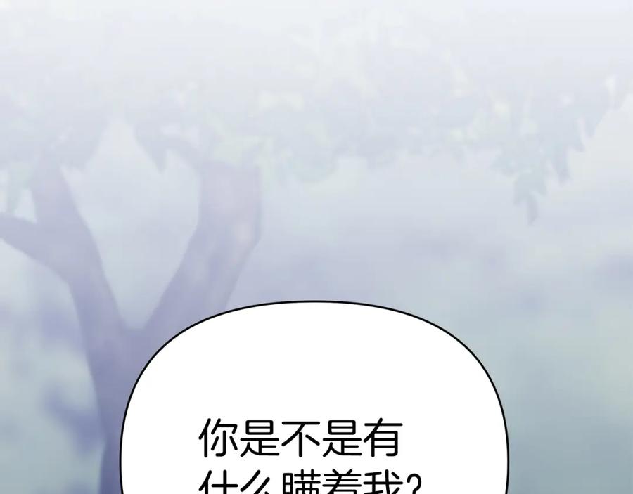 第242页