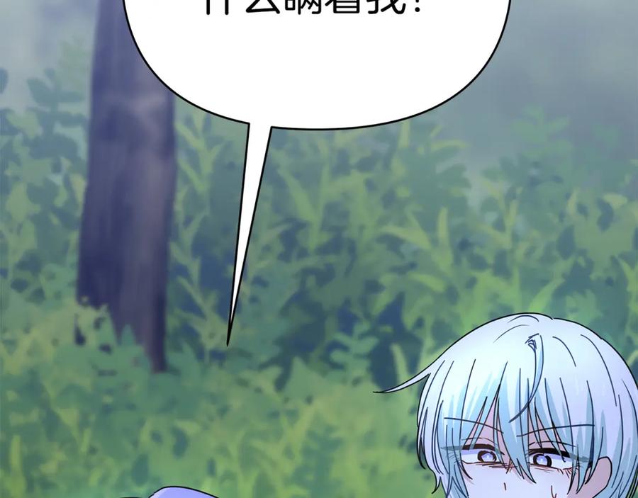 第243页