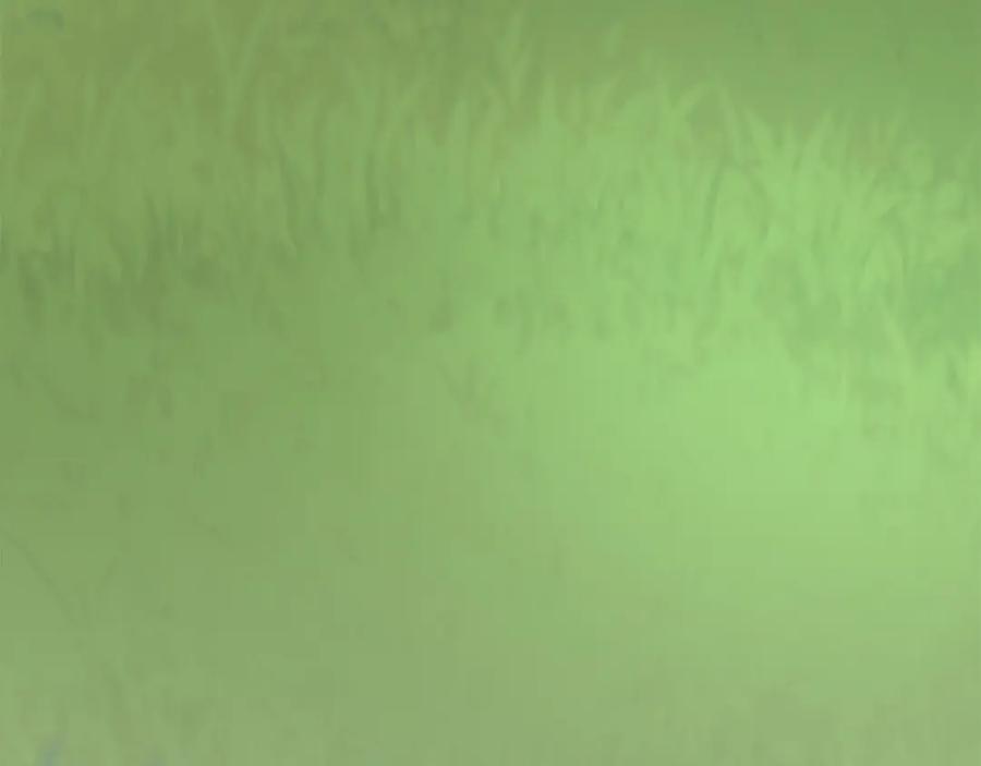 第247页