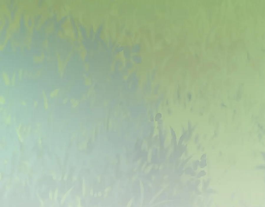 第248页