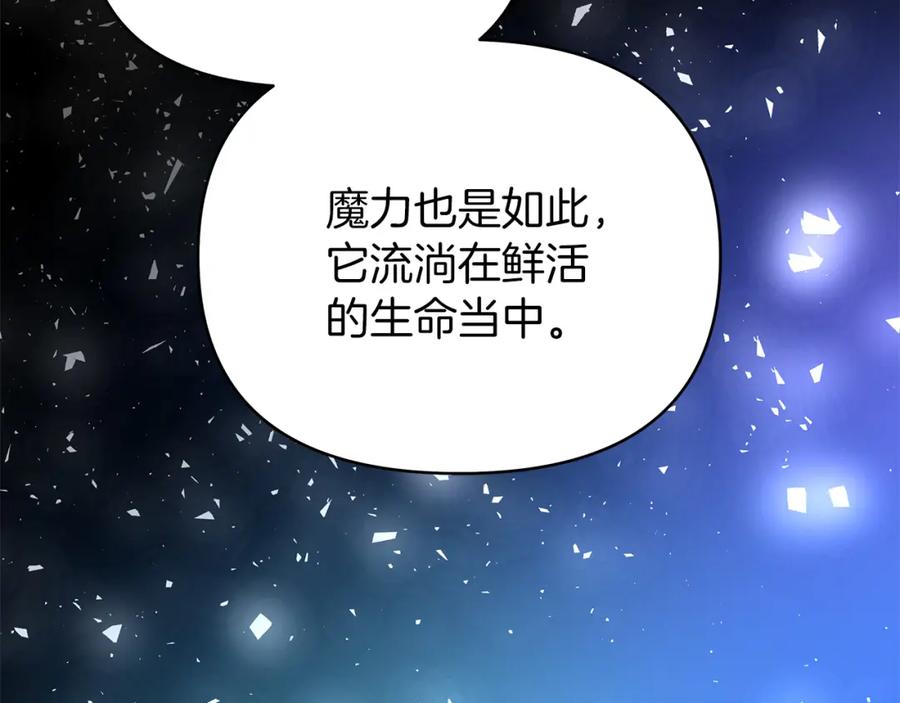 第223页
