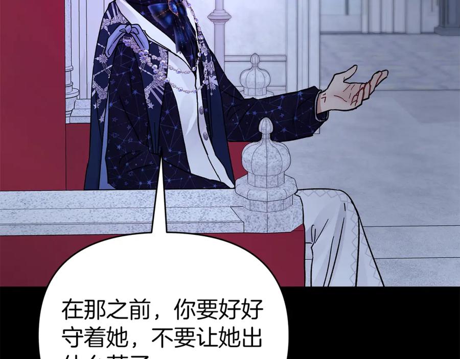 第223页
