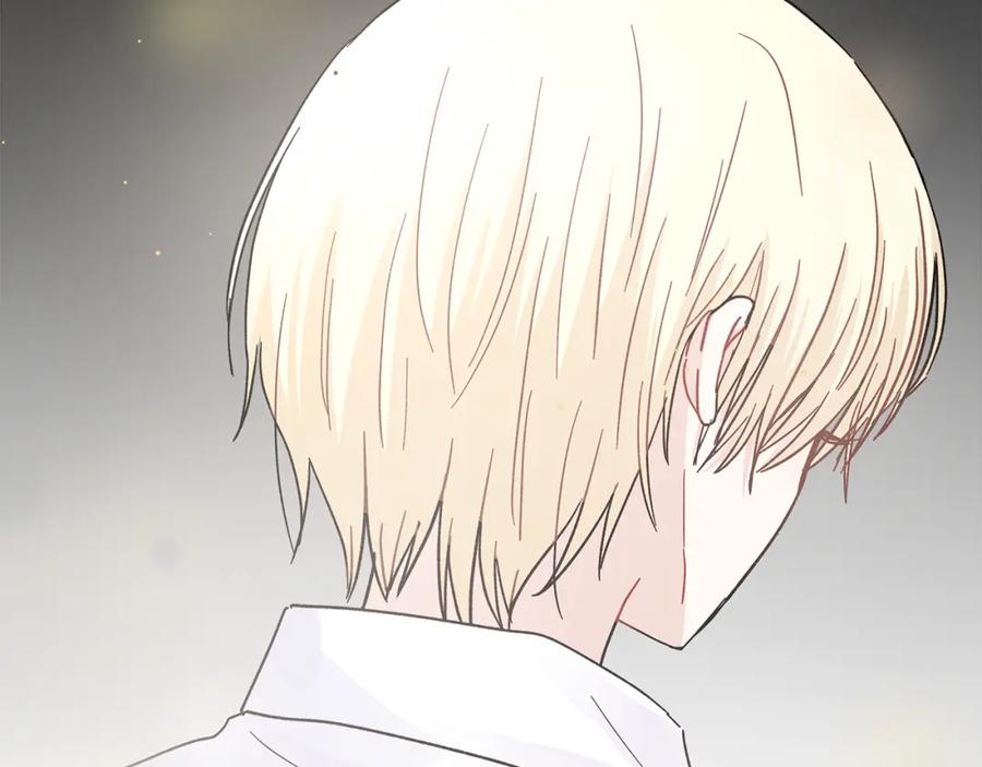 第246页