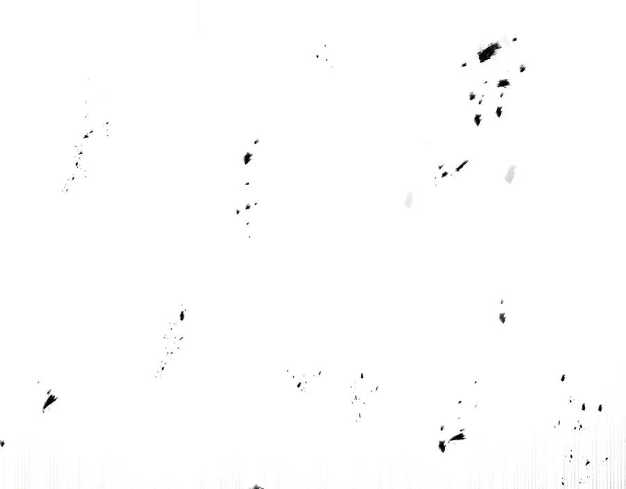 第223页