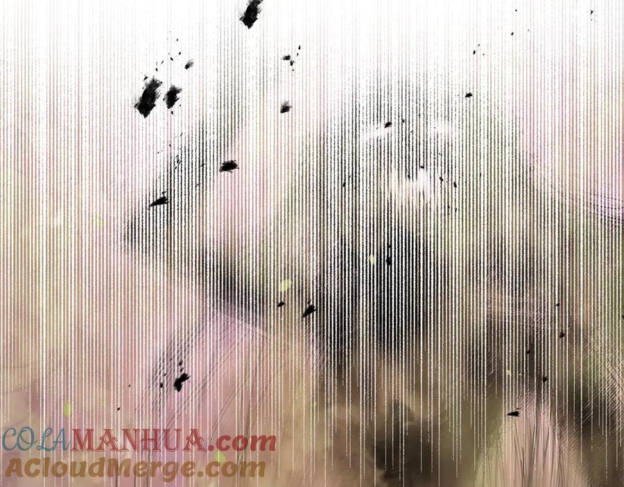 第224页