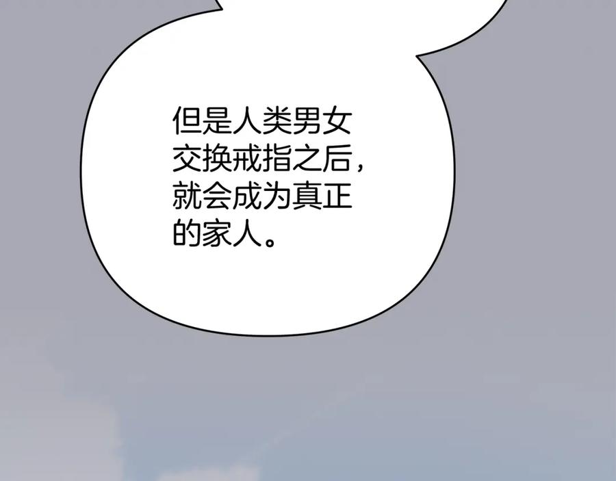 第238页