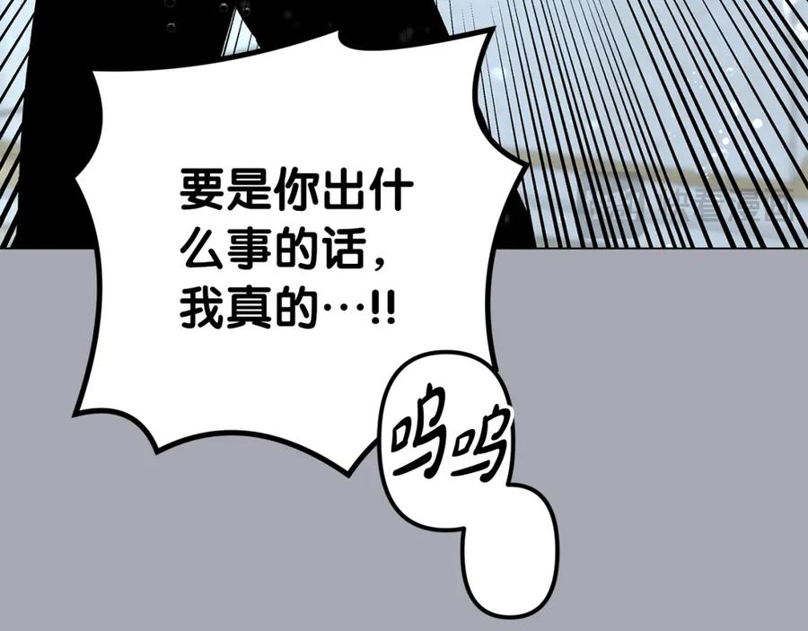第194页