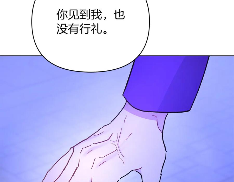 第251页
