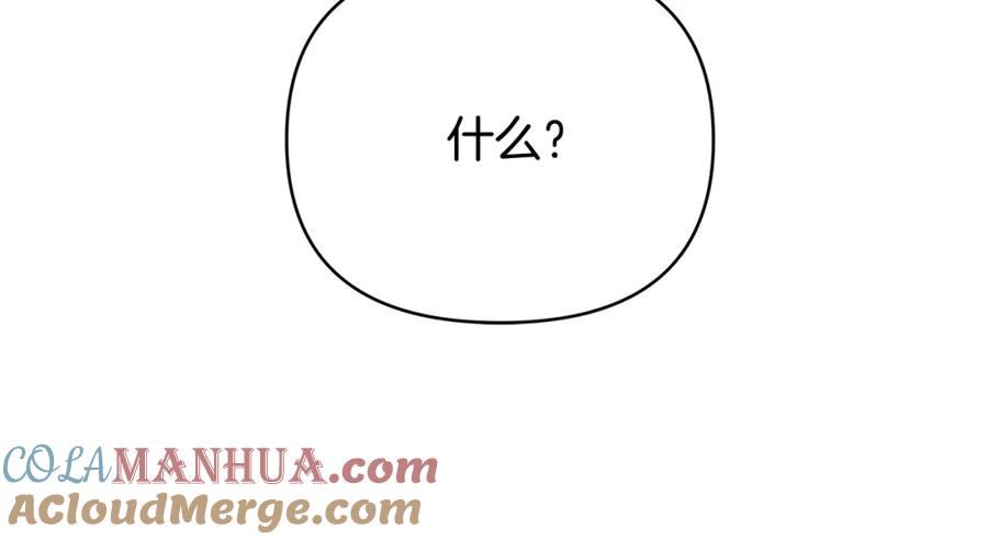 第221页
