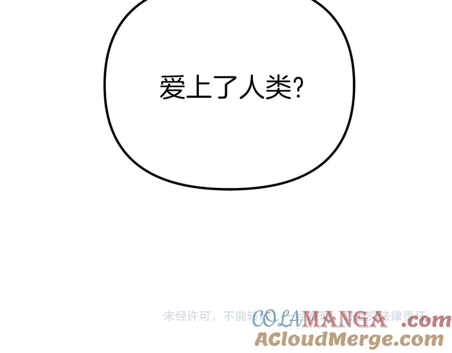 第221页