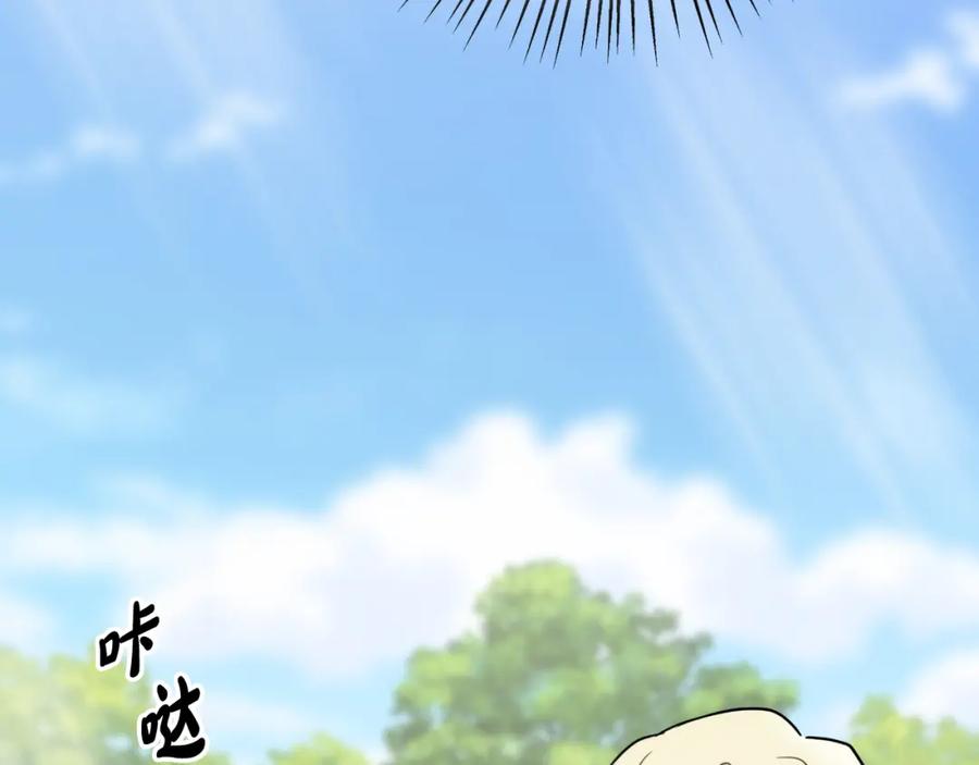 第203页