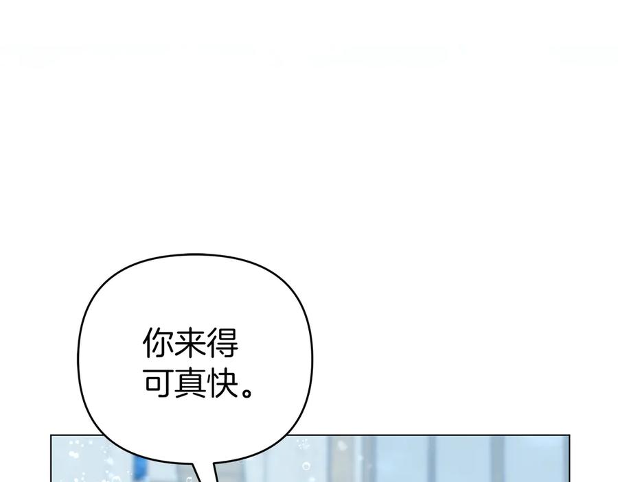第259页