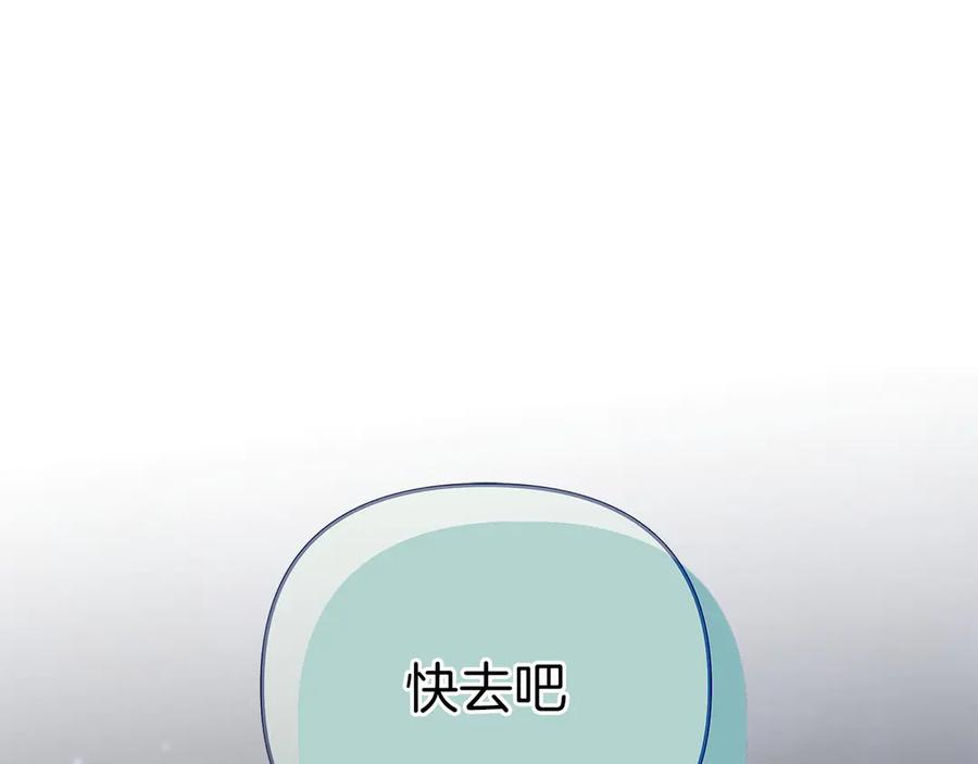 第223页