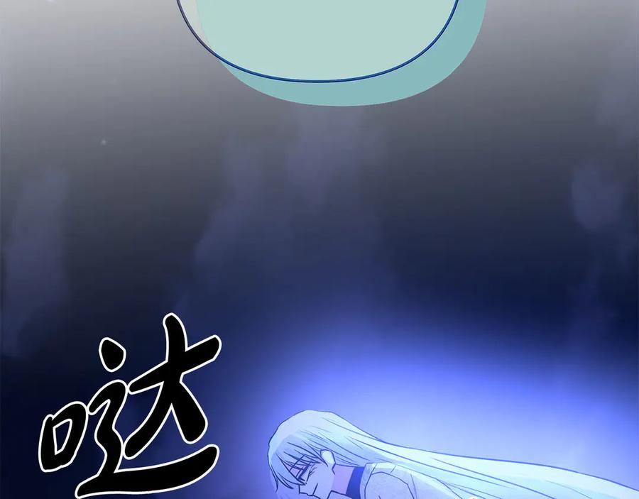 第224页