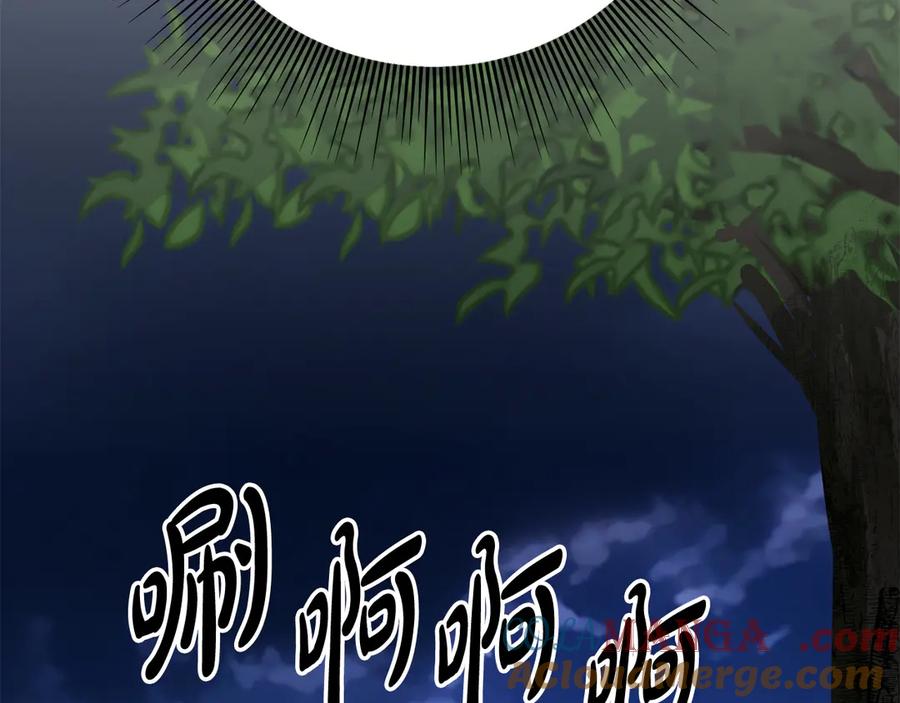 第386页