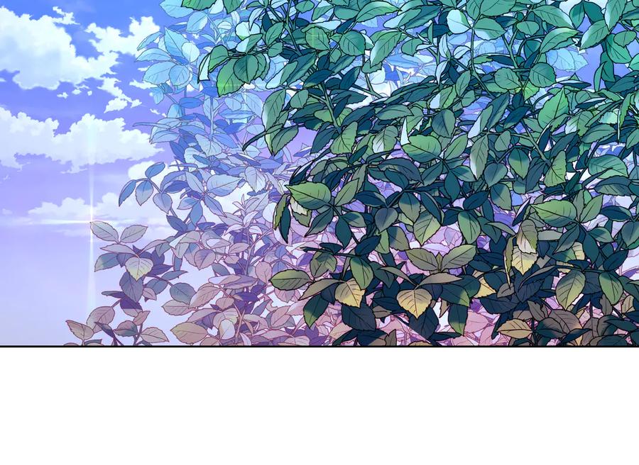 第238页