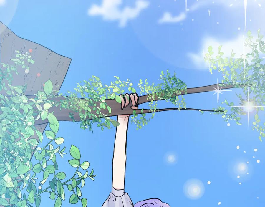 第336页