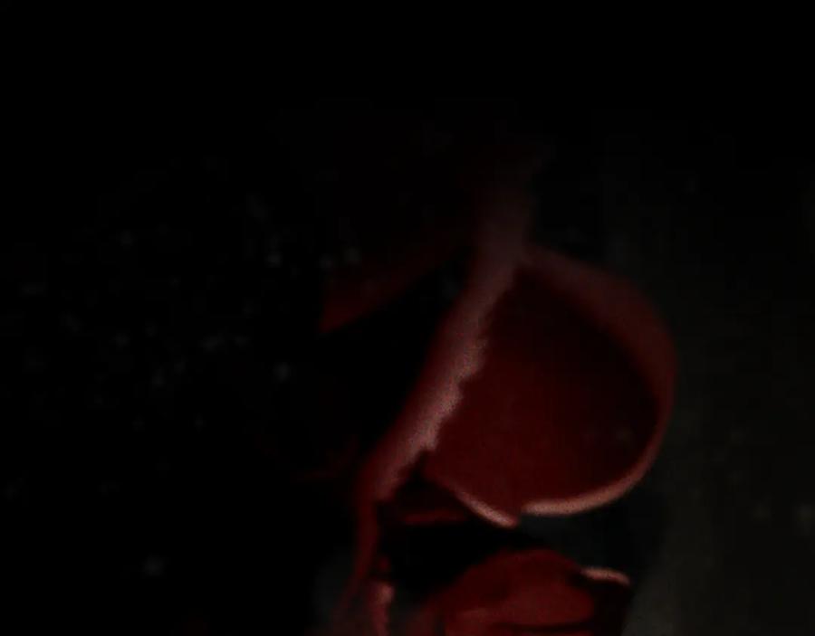 第196页
