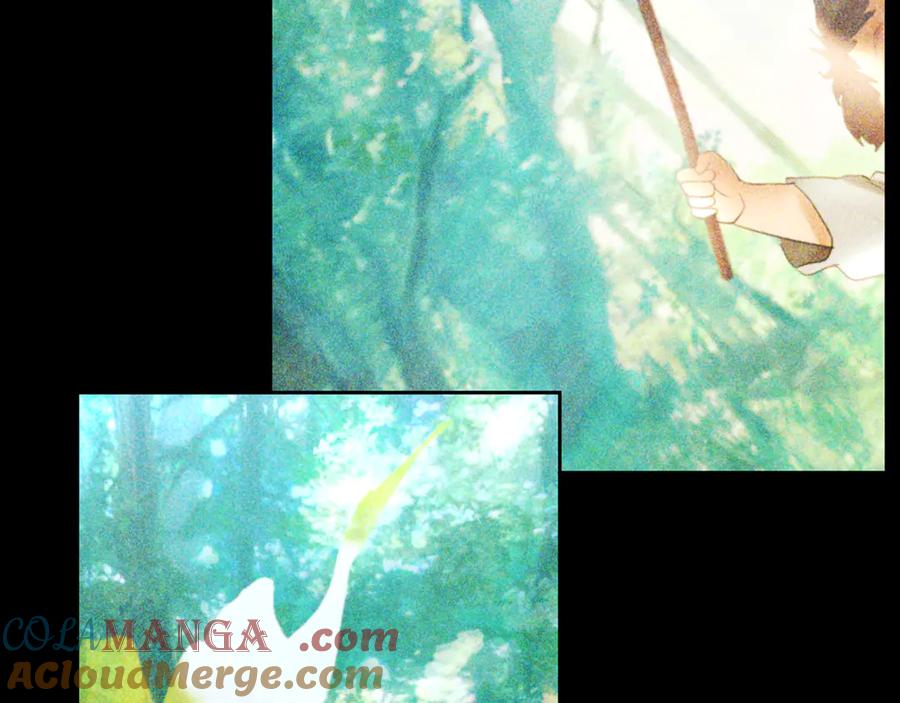 第217页