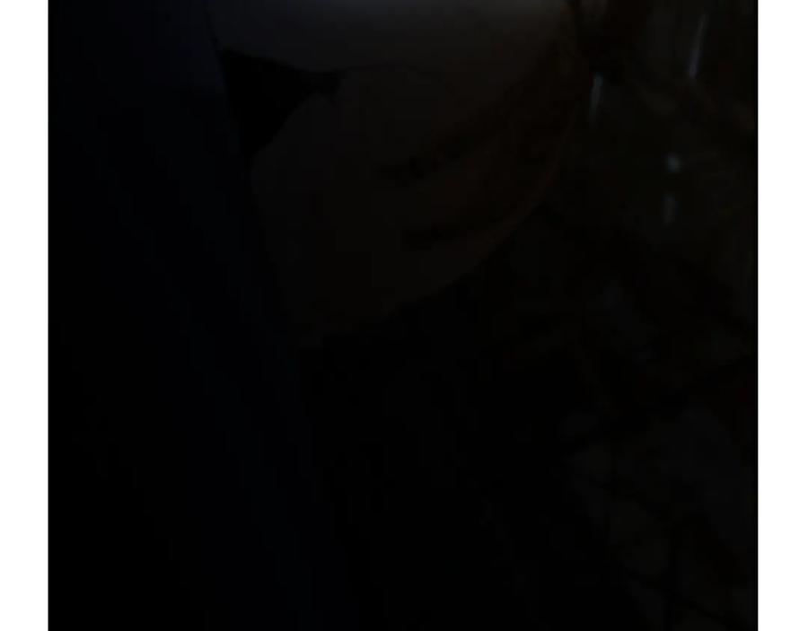 第251页