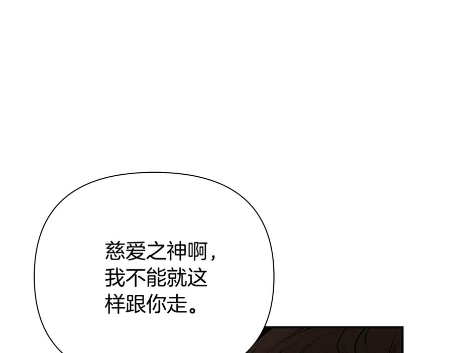 第254页