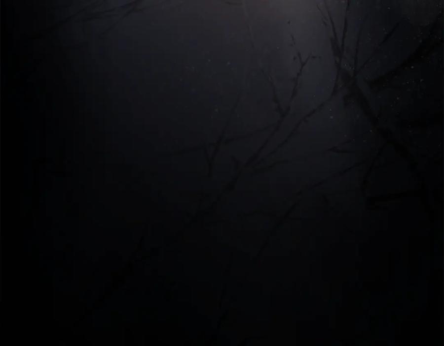 第282页