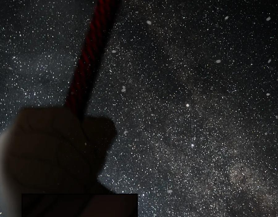 第224页