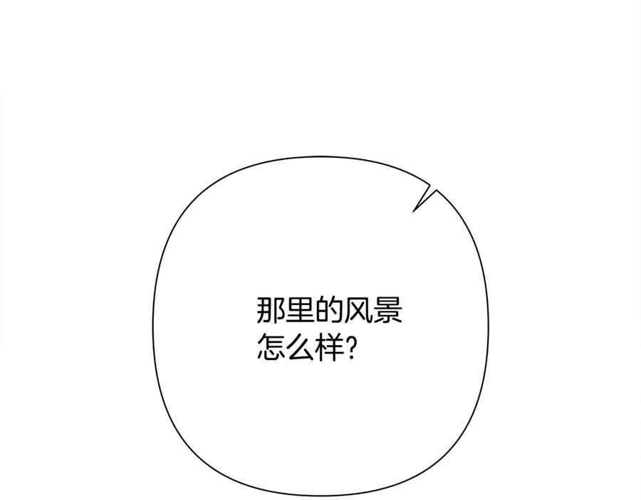 第238页