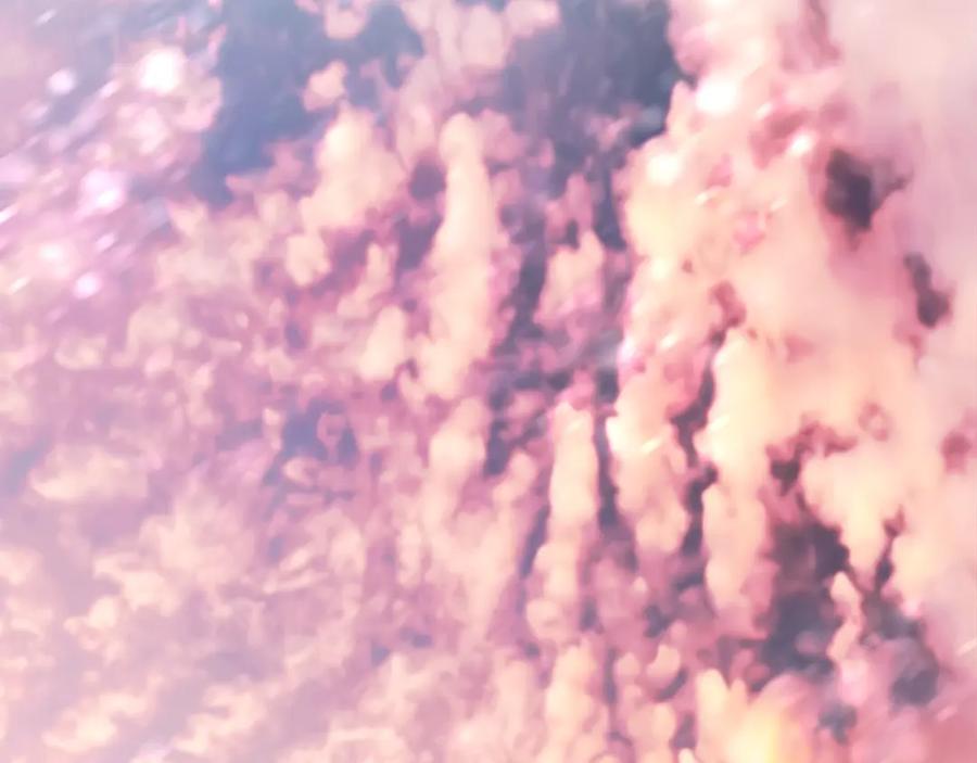 第199页