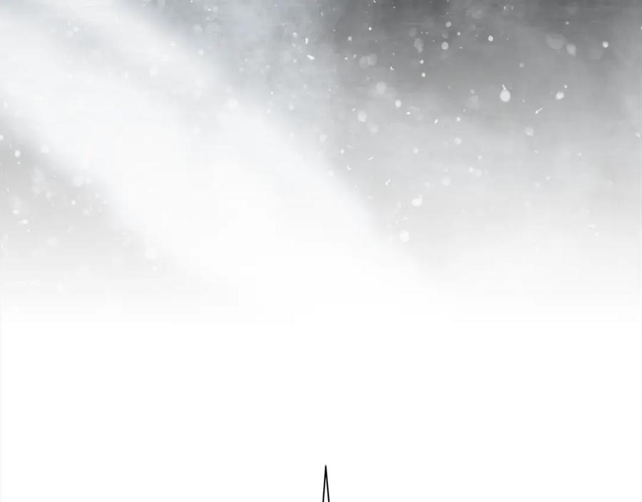 第223页