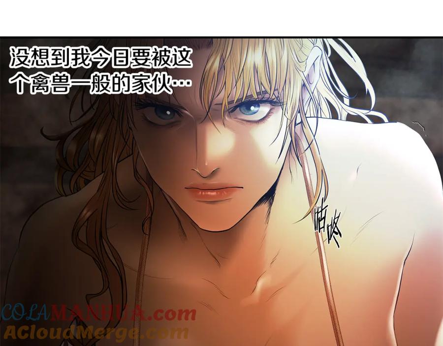 第205页