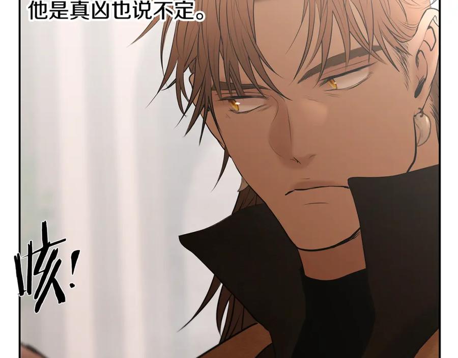 第223页