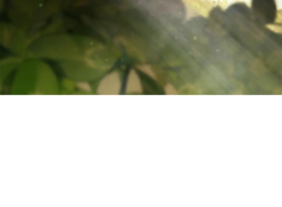 第234页