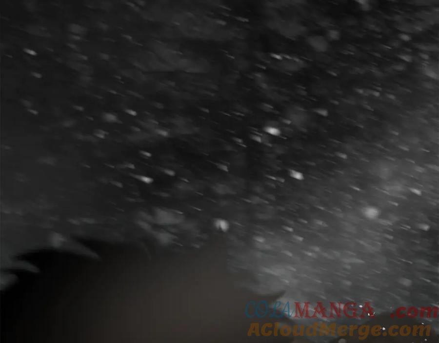 第221页