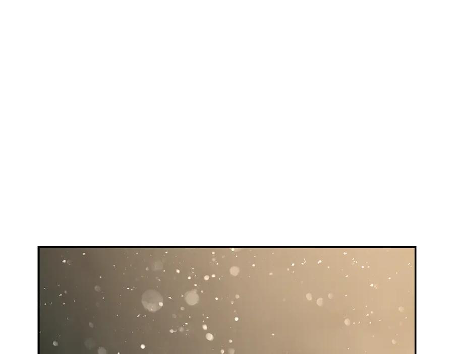 第242页