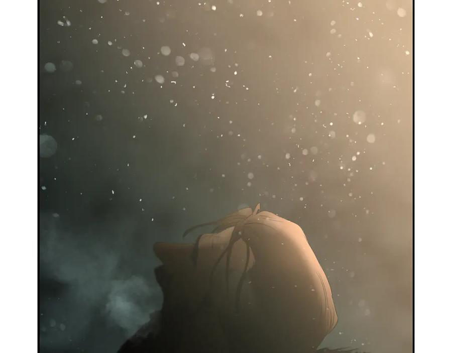 第243页