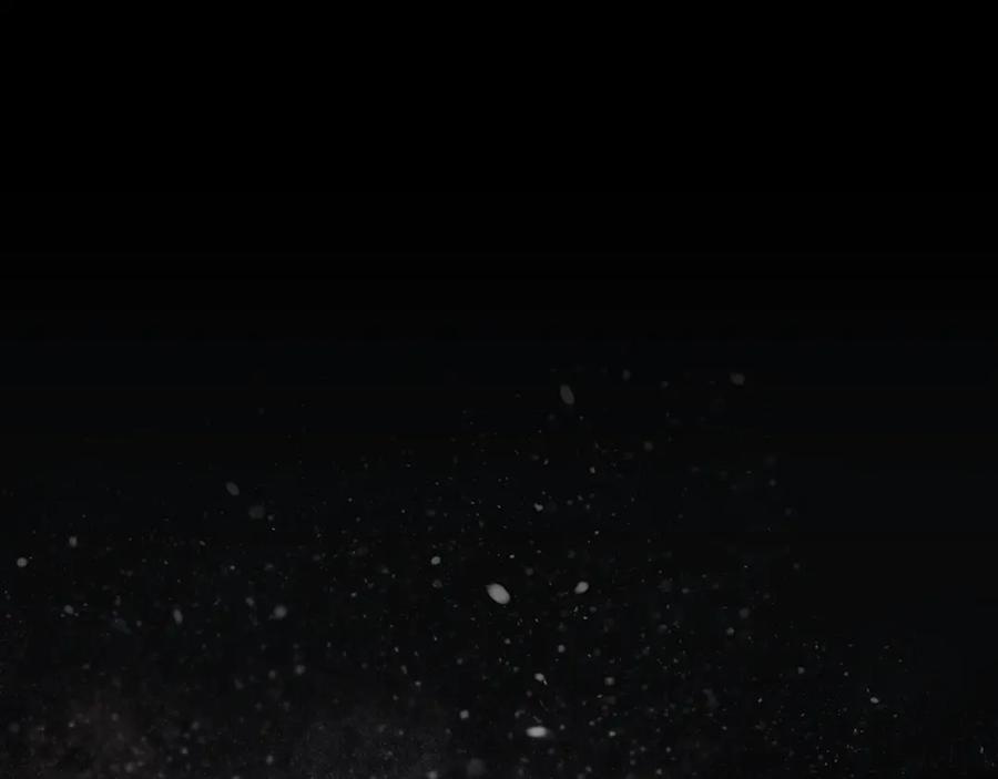 第202页
