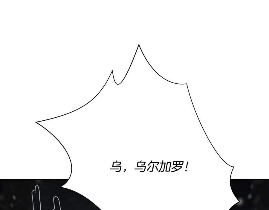 第223页