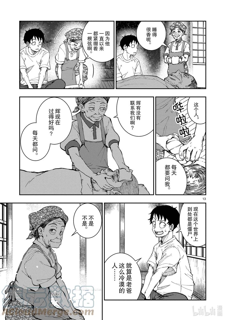 第13页