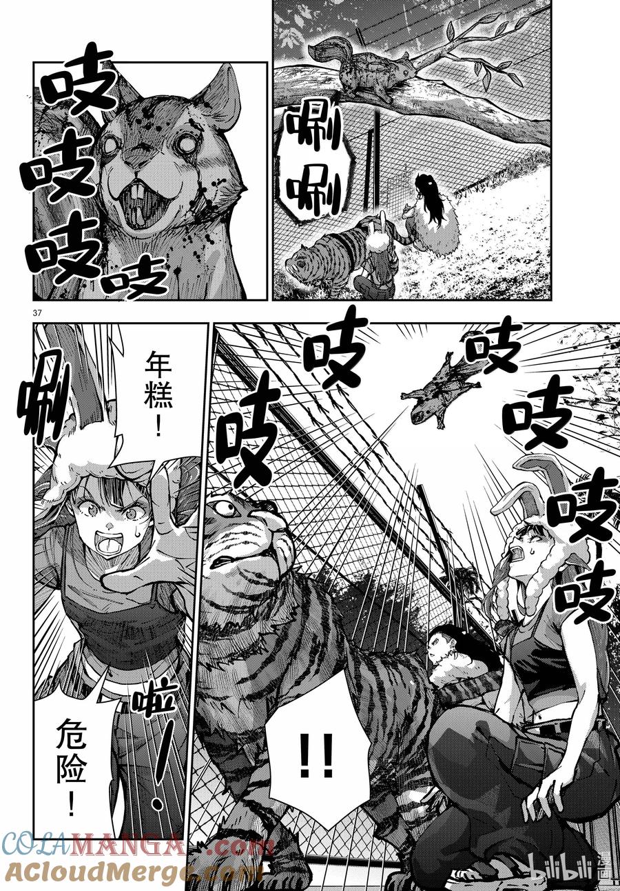 第37页